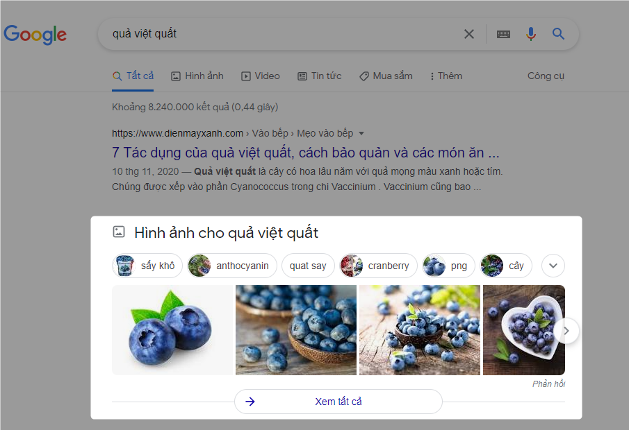 Hình ảnh nổi bật trên trang Google Search