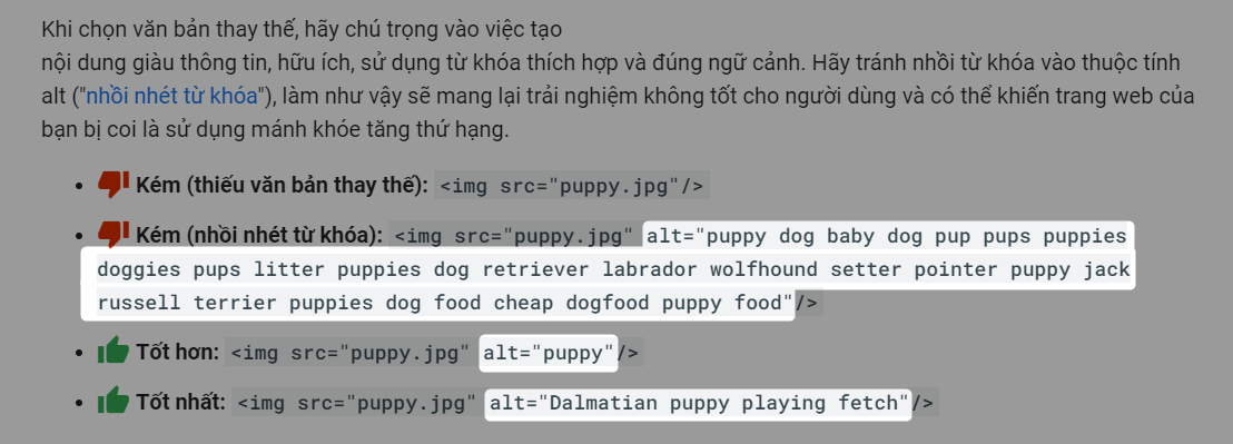Hướng dẫn cách đặt thẻ Alt text