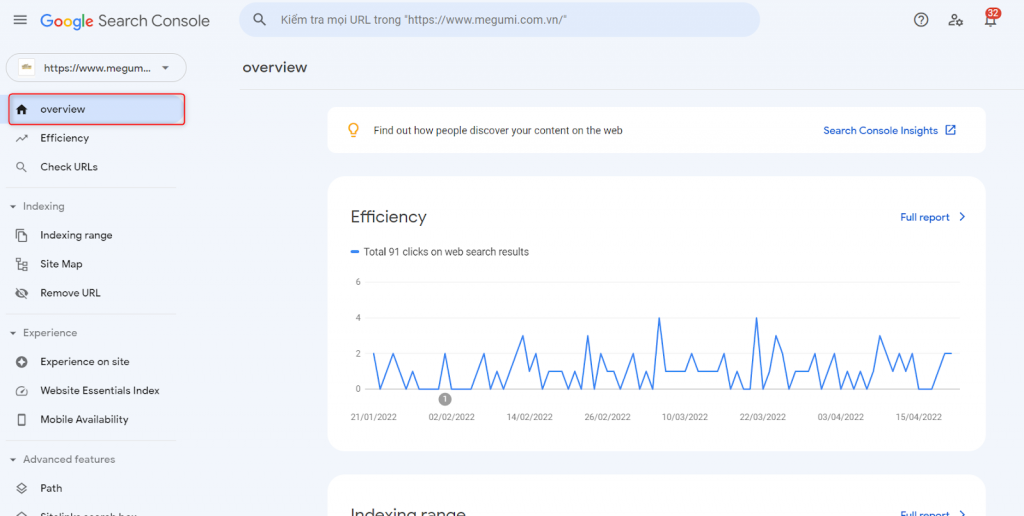 Overview trong Google Search Console