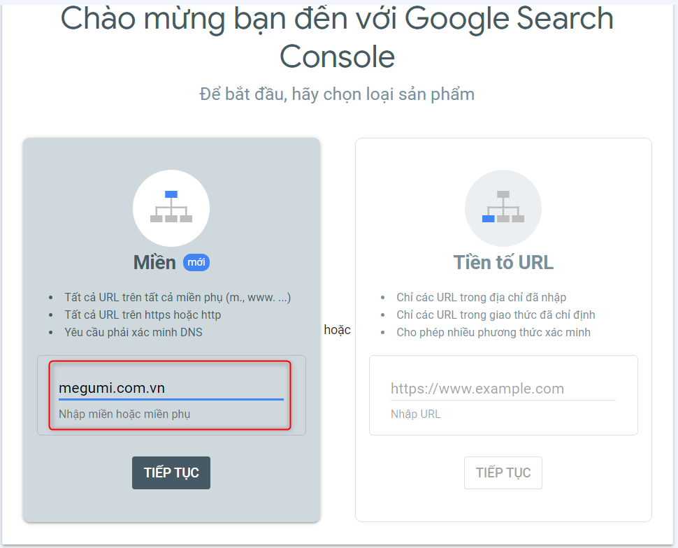 Thiết lập Google Search Console thông qua tùy chọn "Miền"