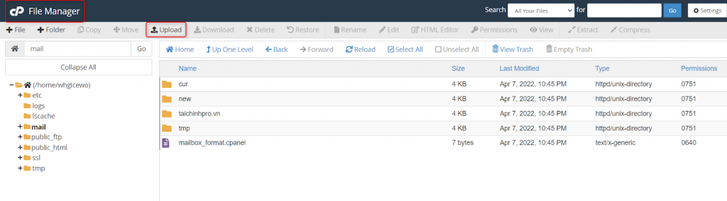 Vào cPanel và tải tệp lên trang web
