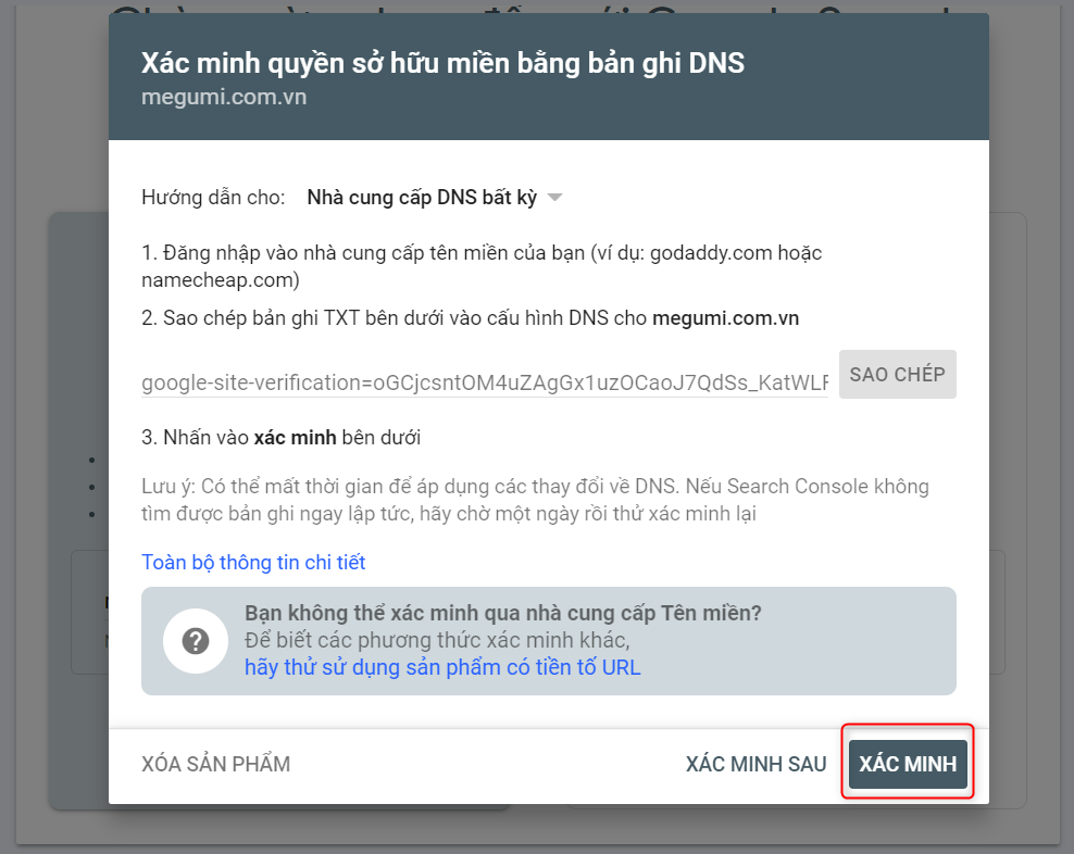 Xác minh bản ghi TXT